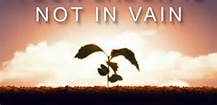 It Is Not In Vain