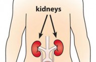 Protecting Your Child From Kidney Disease